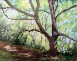 46 - Mary Vivian 'Trees in west Malvern' Watercolour.JPG